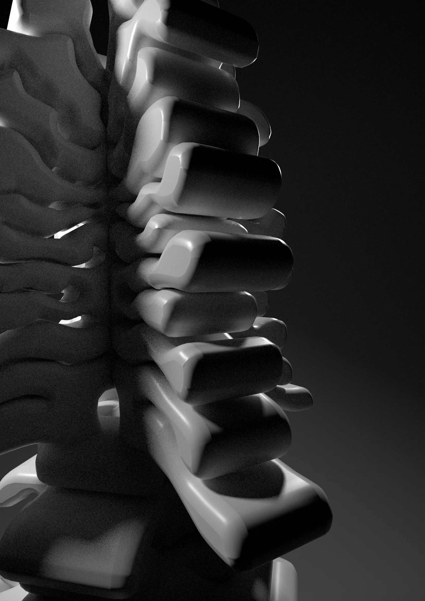 Erste Renderings – Floral 1